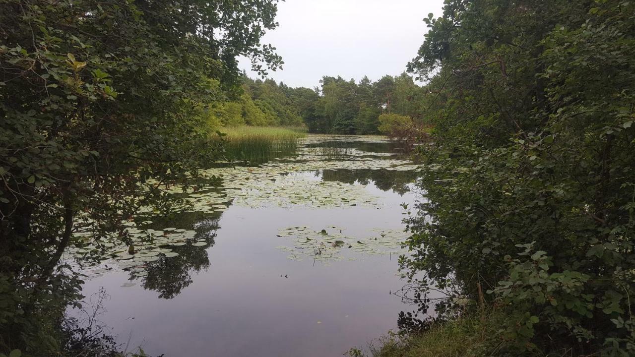 Domki Na Zytniej Kopalino Exterior foto