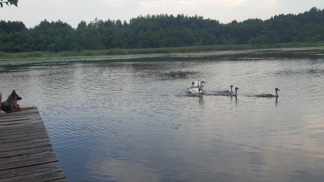 Domki Na Zytniej Kopalino Exterior foto